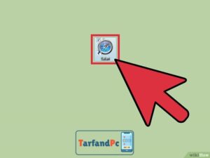 Safari